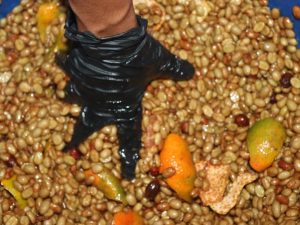 ظهور «هم‌تخمیر»ها (Co-fermentation) و تحول معنایی هویت قهوه کلمبیا ؛ از پادشاهی «شسته‌شده‌ها» تا آزمایشگاه‌های طعم