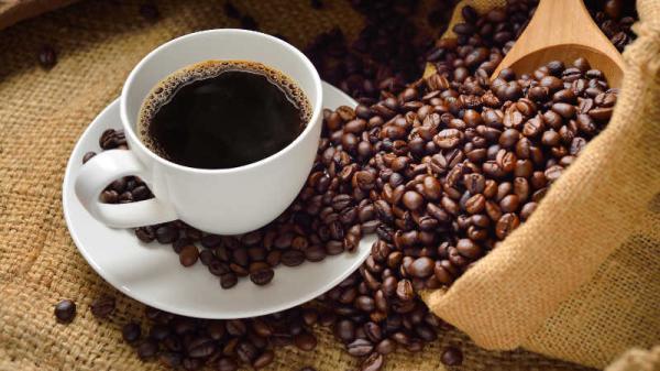 تولید قهوه
