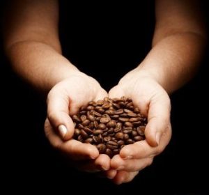 افزایش قیمت قهوه در سطحی بی سابقه