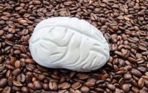 مصرف روزانه کافئین می‌تواند حجم ماده خاکستری مغز را به طور موقت کاهش دهد.