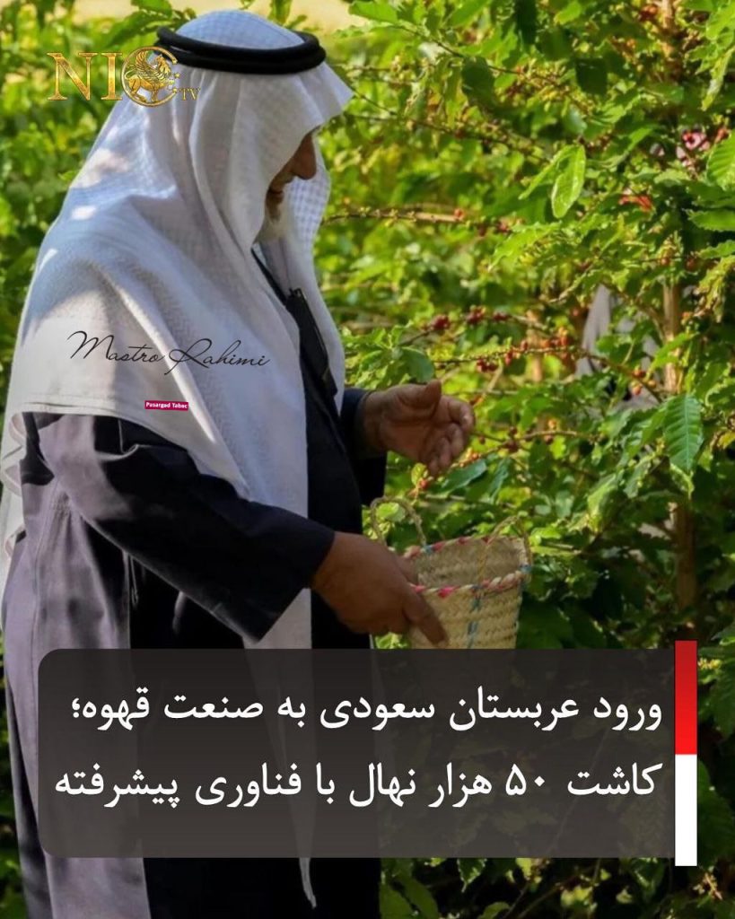 جهش سبز عربستان سعودی در صنعت قهوه