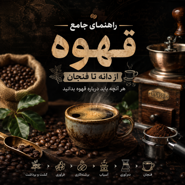 راهنمای جامع قهوه؛ از دانه تا فنجان