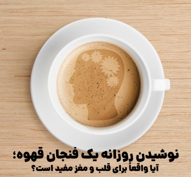نوشیدن روزانه یک فنجان قهوه؛ آیا واقعاً برای قلب و مغز مفید است؟