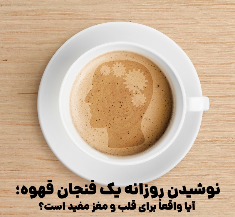 نوشیدن روزانه یک فنجان قهوه؛ آیا واقعاً برای قلب و مغز مفید است؟